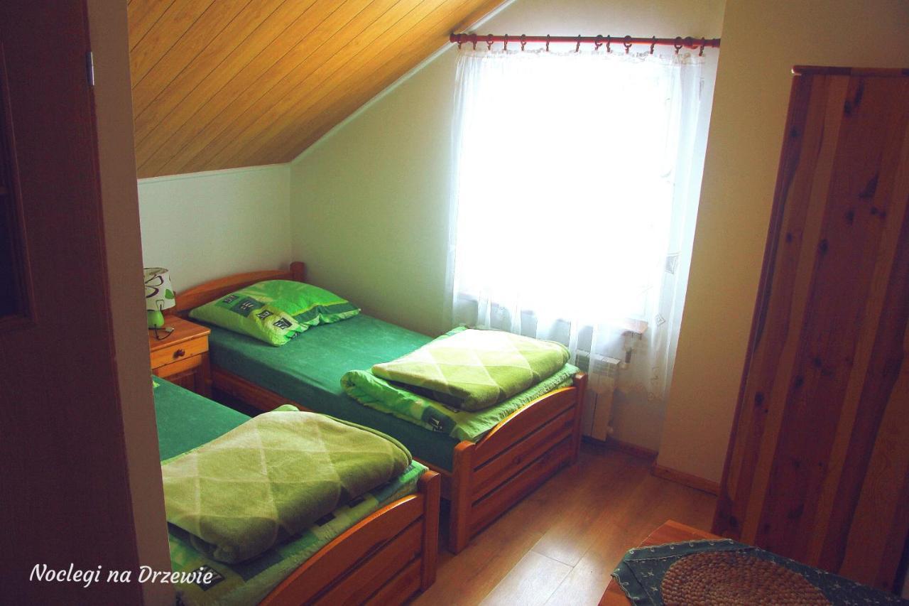 Noclegi na Drzewie Cisna Zewnętrze zdjęcie